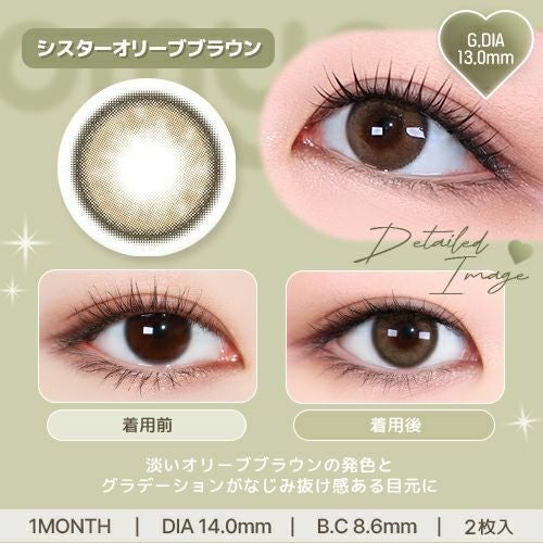 1month] シスターオリーブブラウン オマイオ | カラコン通販 LILY ANNA