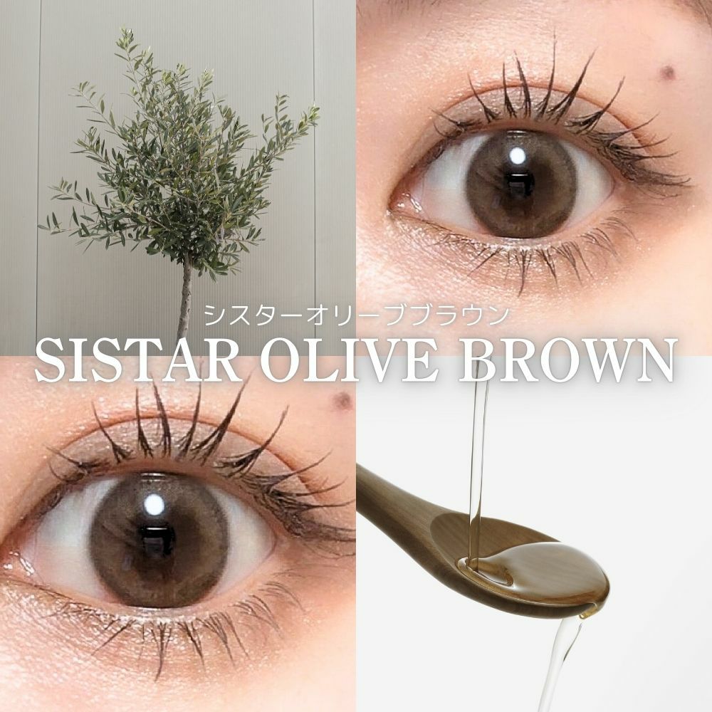 1month] シスターオリーブブラウン オマイオ | カラコン通販 LILY ANNA