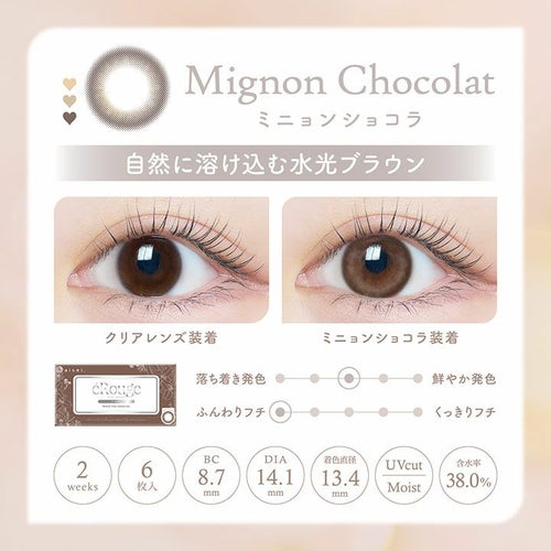 [2week] エルージュ ミニョンショコラ　カラー詳細説明