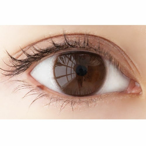 ステップワン(Step1) カラコン [1day] ステップワン ビッグ・ブラウン 装用画像