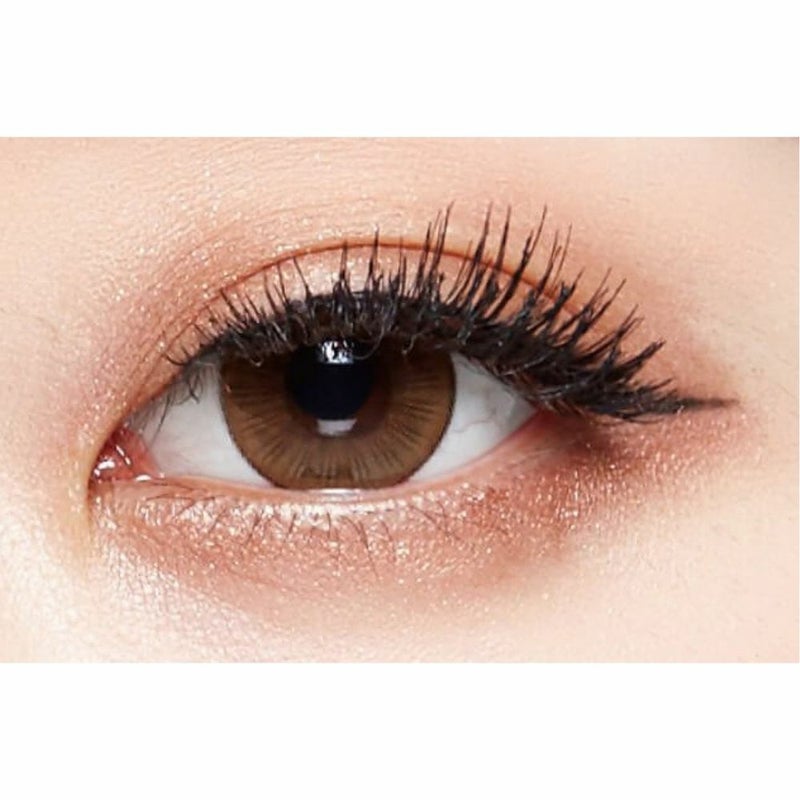  [1month] モピルバイゼルチョコモピルブラウン　公式装用画像