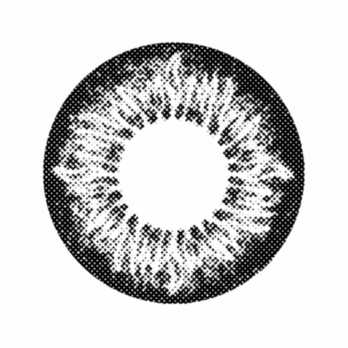 [1day] ドルチェナチュラルグランデザイン ドルチェサークルブラック　レンズ画像