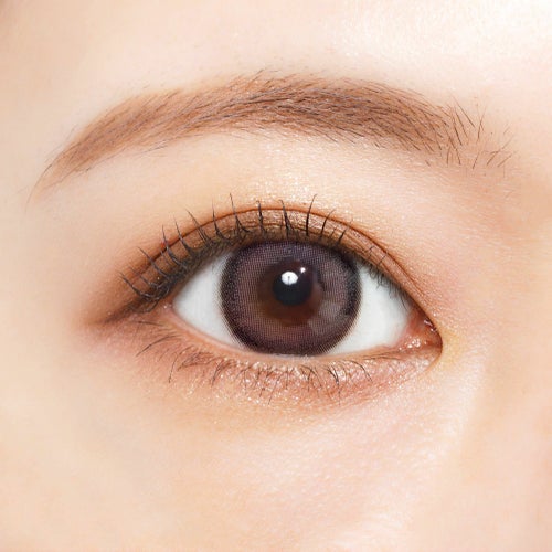  [1day] シャルトン フィグコンポート　公式装用比較像