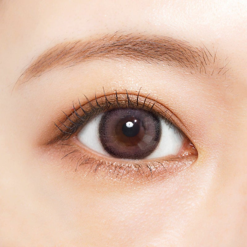  [1day] シャルトン フィグコンポート　公式装用比較像