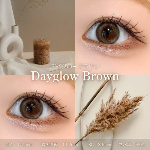 アイスター　デイグローブラウン　レンズスペック