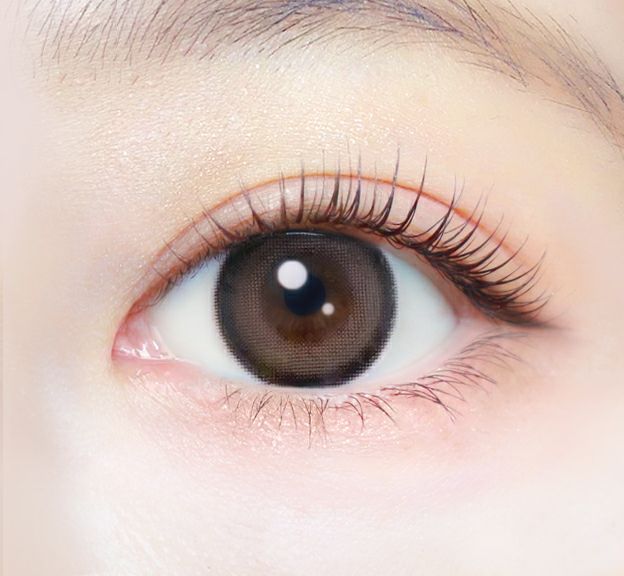 1day] エバーカラーワンデーナチュラル テディモカ| カラコン通販 LILY