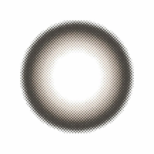 [1day] エバーカラーワンデーナチュラル テディモカ　公式レンズ画像