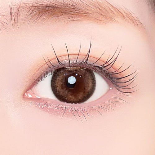  [1day] エーアイ ブリンクブラウン　公式装用画像