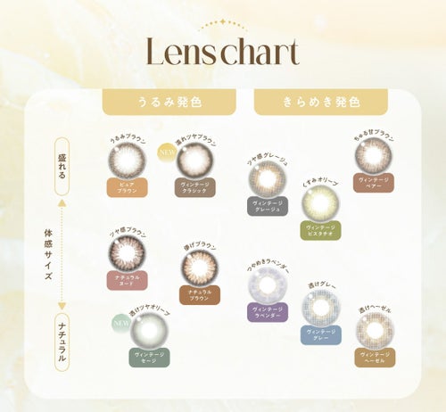 [1day] バンビヴィンテージ ヴィンテージセージ　カラーチャート