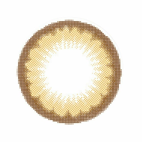 シピ ソフィーブラウン　レンズ画像