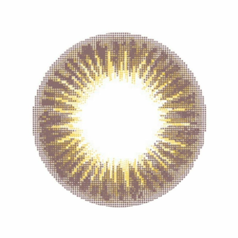 シピ　ブリジットモカ　レンズ画像