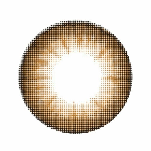 シピ　ロワールブラウン　レンズ画像