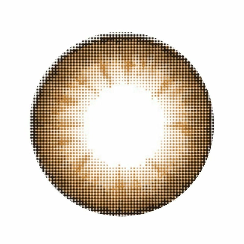 シピ　ロワールブラウン　レンズ画像