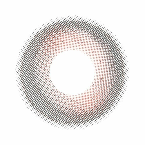 ヴィレジェ　モウタンブラウン　レンズ画像