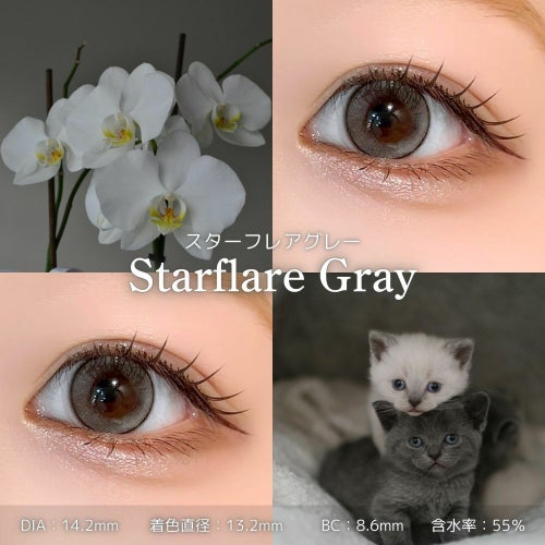 アイスタ―　スターフレアグレー　スペック