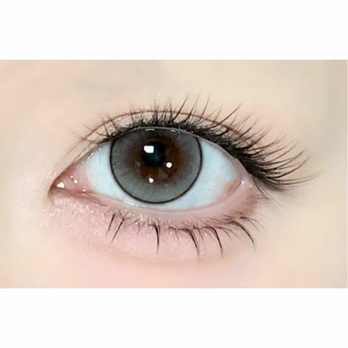 アイスタ―　スターフレアグレー　装用画像