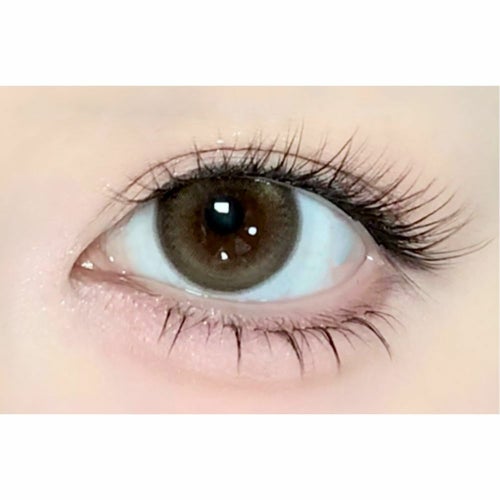 アイスタ―　デイグローブラウン　装用画像