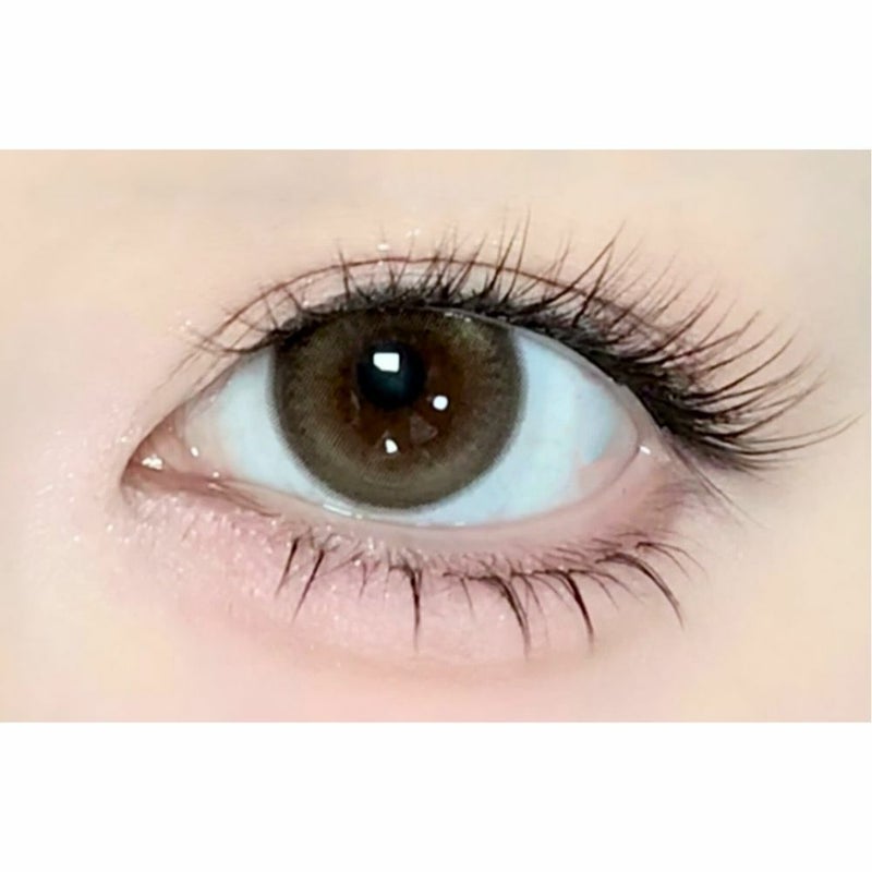 アイスタ―　デイグローブラウン　装用画像