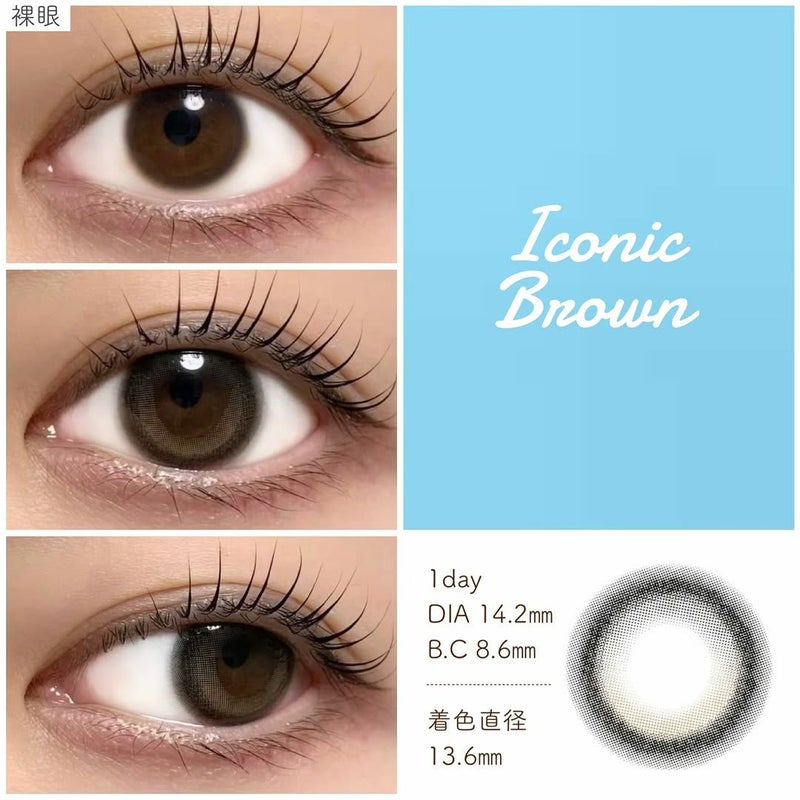 アイスタ―　アイコニックブラウン　装用画像