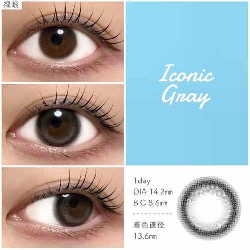 アイスタ―　アイコニックグレー装用画像