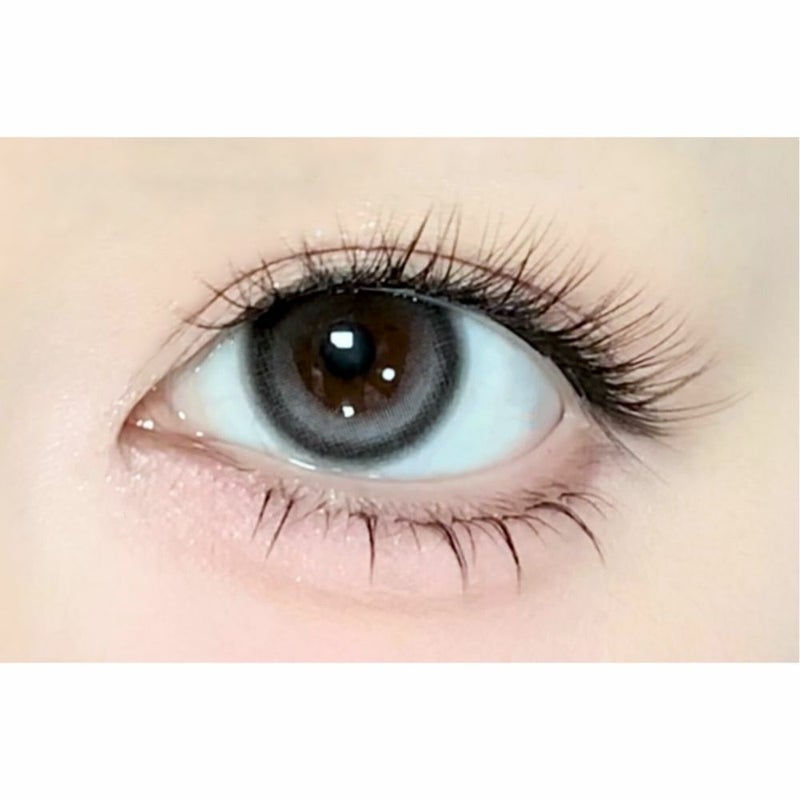 アイスタ―　アイコニックグレー　装用画像