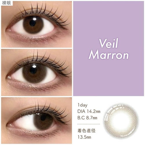 プロウィンク　ヴェールマロン　装用画像