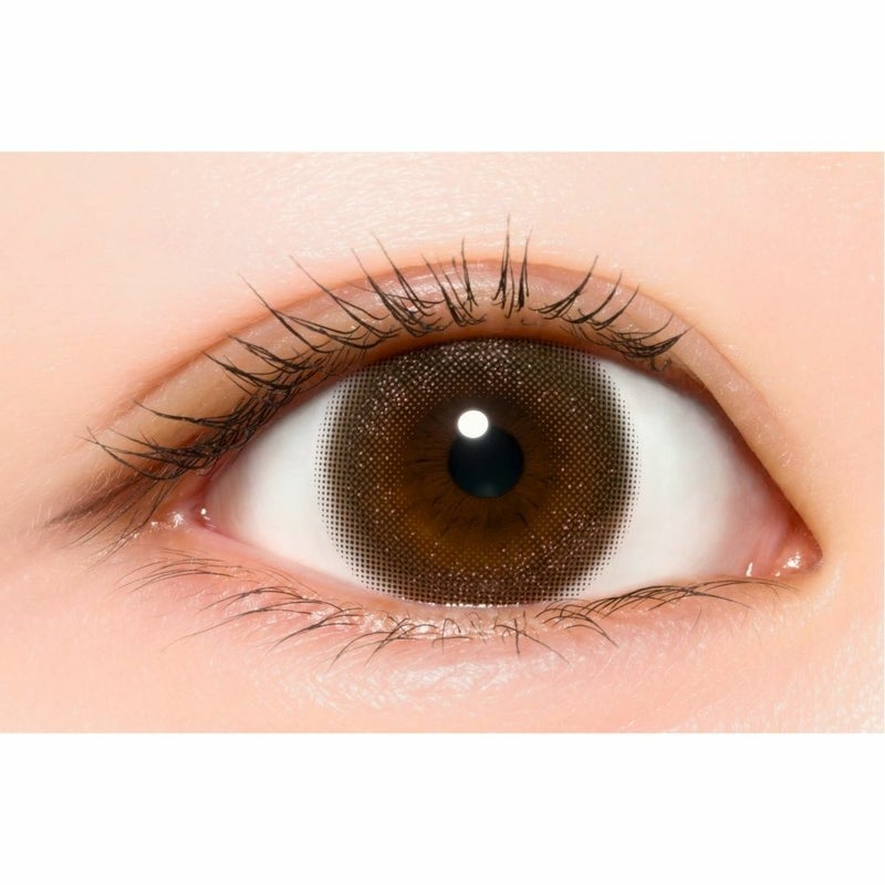 プロウィンク　ヴェールマロン　公式装用画像