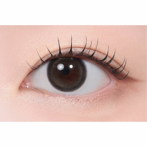 パンデイアグレー　装用画像