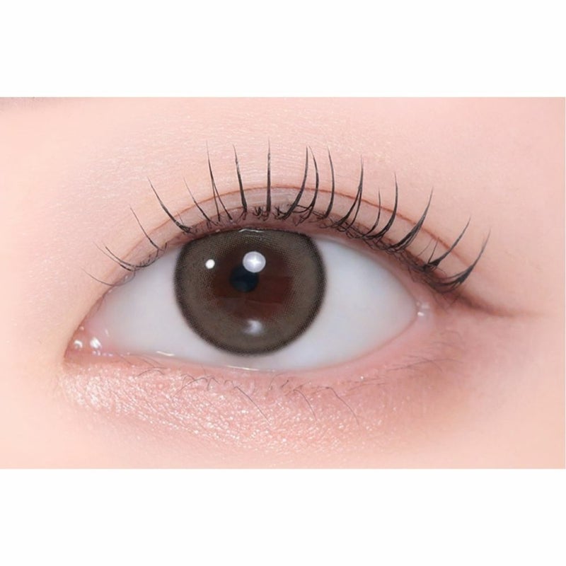 アッシュズブラウン　装用画像