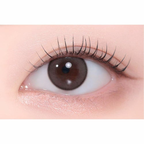 ユース　アッシュズチョコ　装用画像