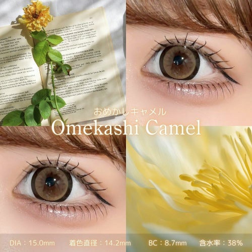 シャプン　おめかしキャメル　装用画像