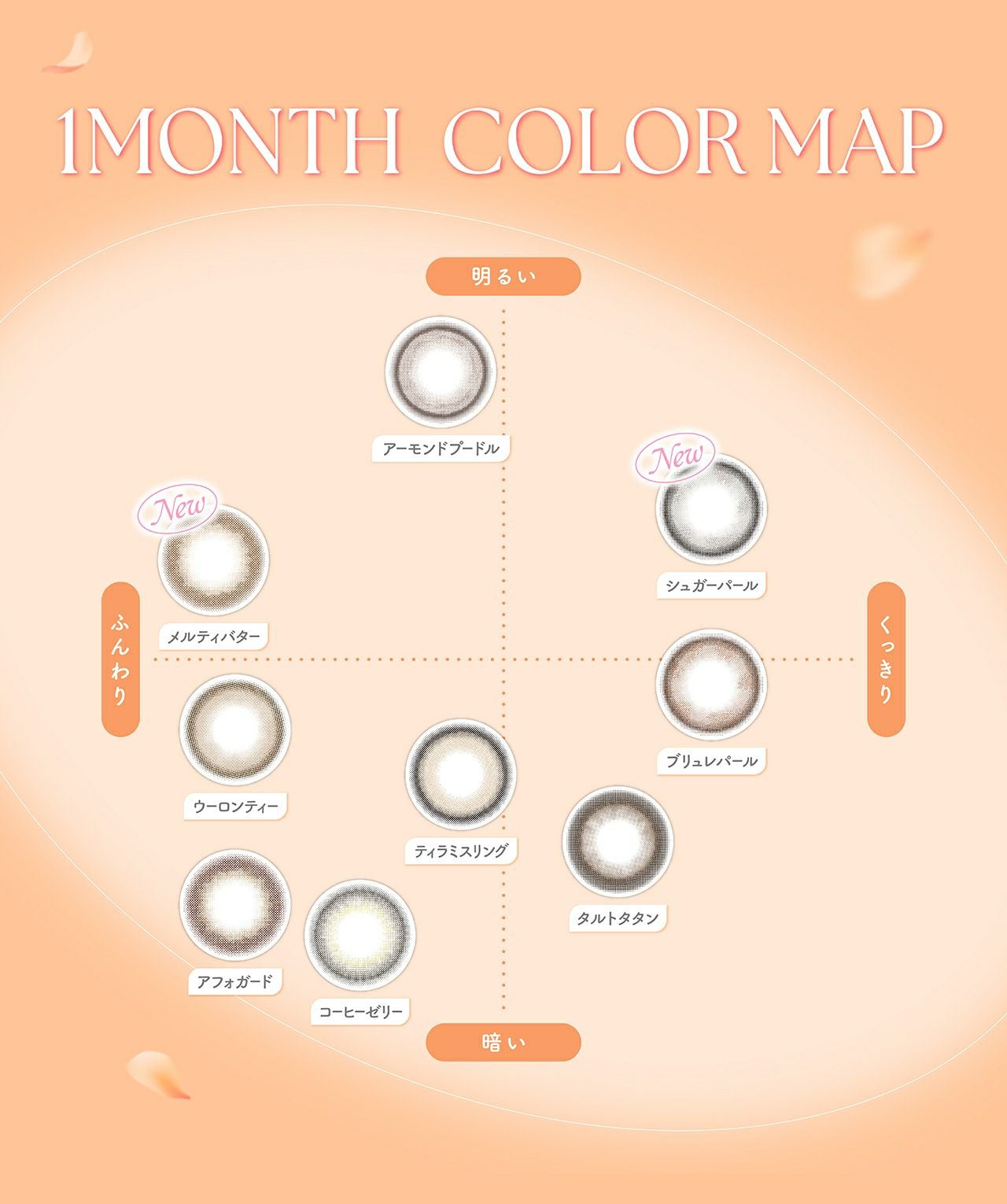 1month] フェリアモ シュガーパール | カラコン通販 LILY ANNA リリー