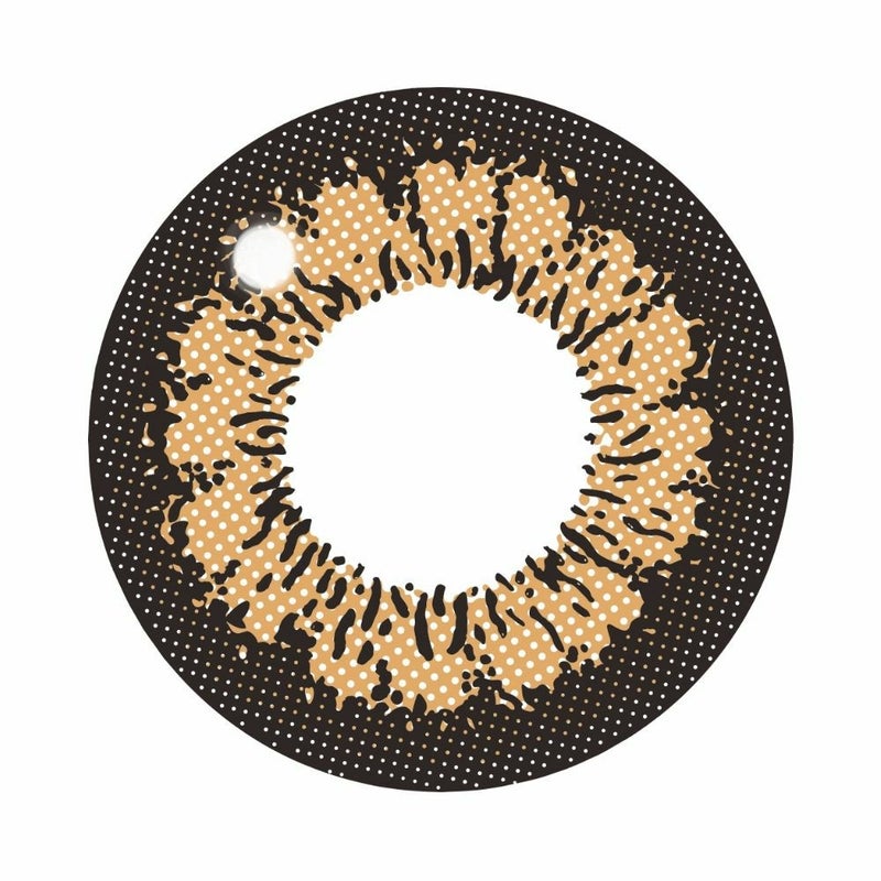 キャンマジ　1day　キングブラウン　レンズ画像