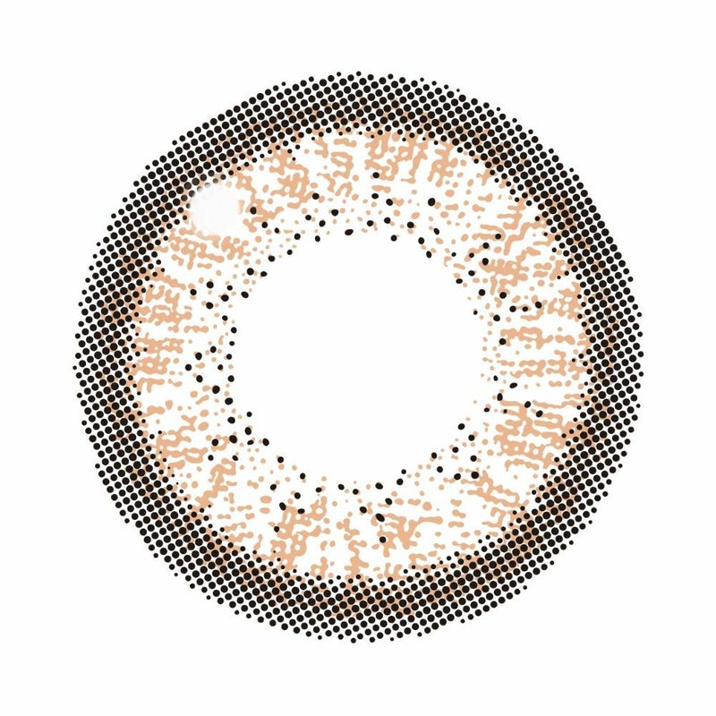 キャンマジ　1day　ナチュラルブラウン　レンズ画像