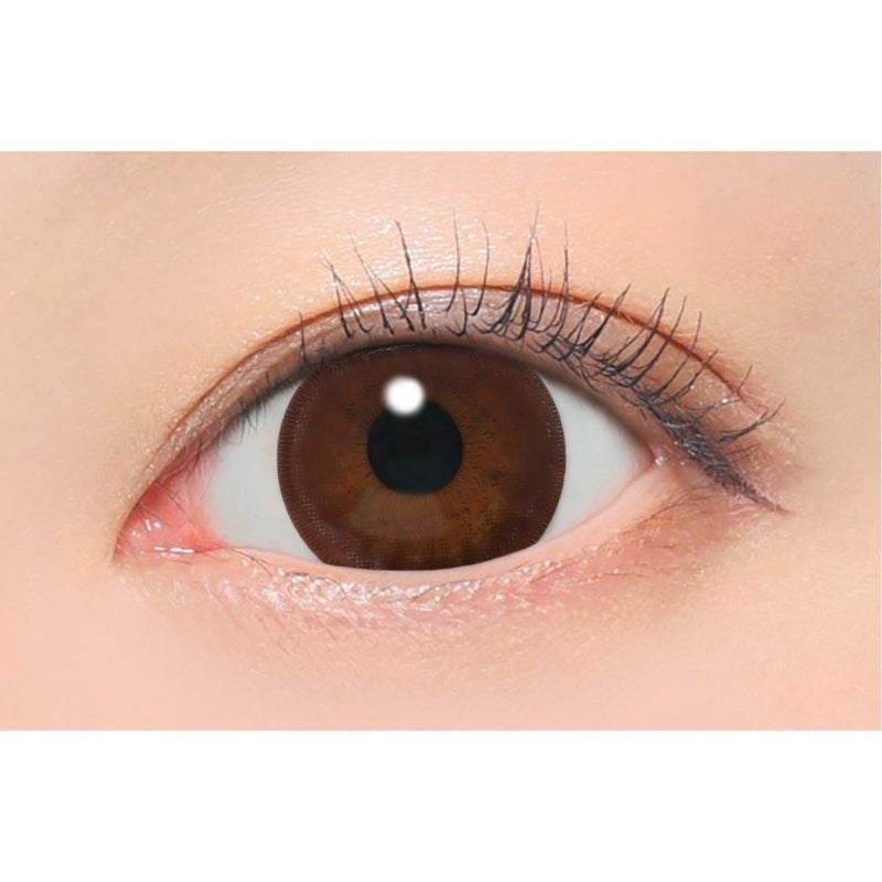 キャンマジ　1day　ビギナーチョコレート　装用画像