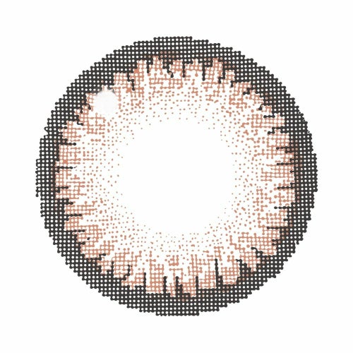 キャンマジ　1day　シュガーブラウン　レンズ画像