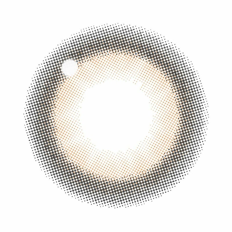 キャンマジ　1day　ミミブラウン　レンズ画像