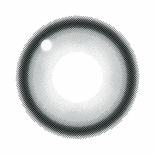 キャンマジ　1day　メログレー　レンズ画像