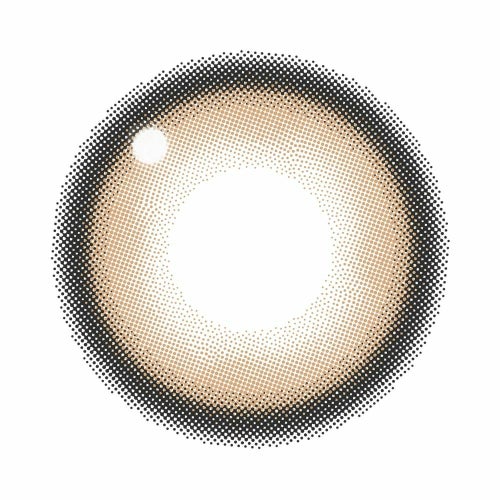 キャンマジ　1day　メロブラウン　レンズ画像