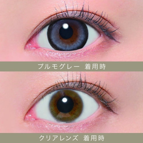  [1day] シークレットキャンディーマジック プルモグレー　装用比較画像