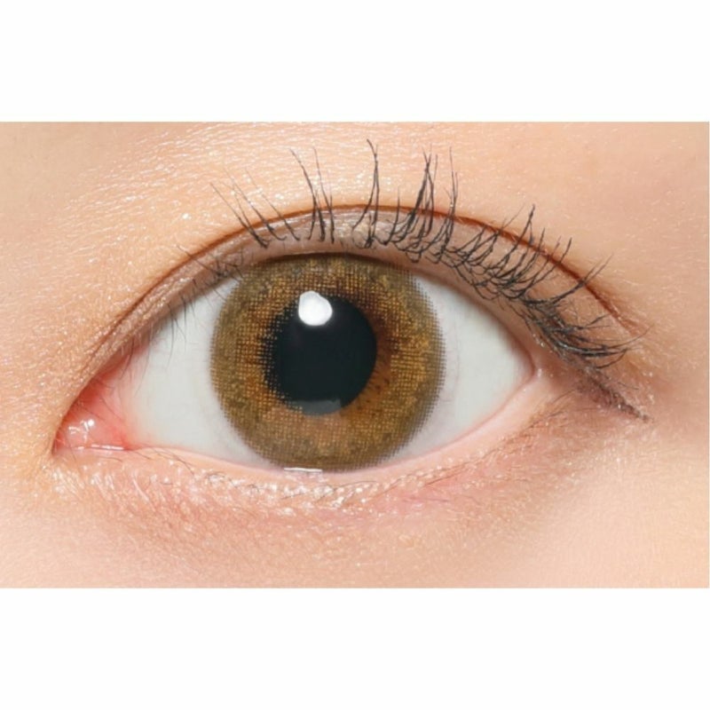  [1day] レヴィア ペールミラージュ　公式装用画像