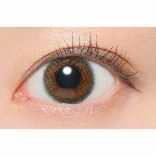  [1day] レヴィア ヘイリー　公式装用画像