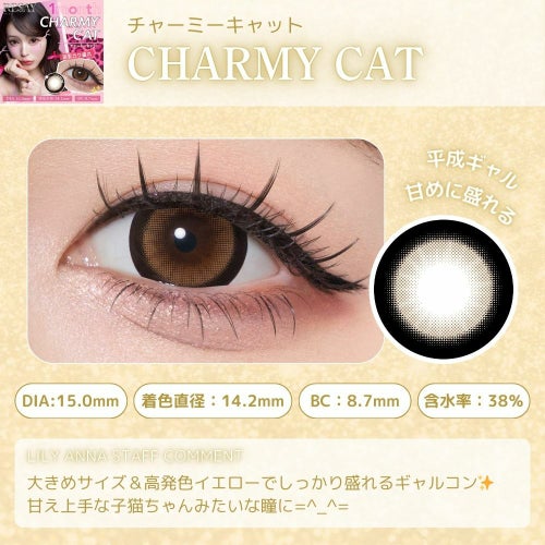 リセイ マンスリー せいせい チャーミーキャット レンズポイント