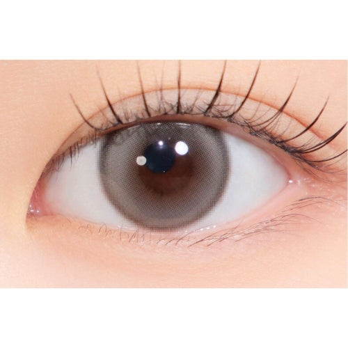  [1day] ハパクリスティン ウォニョン シュガーハイクリスティンプラス グレー　装用画像