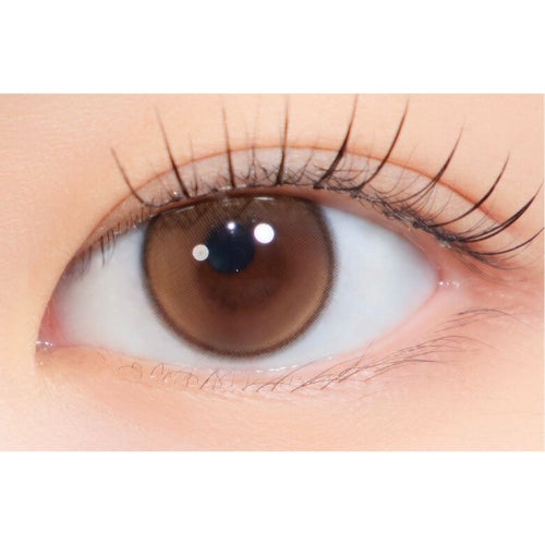 [1day] ハパクリスティン ウォニョン ファーストラブクリスティン ブラウン 　装用画像