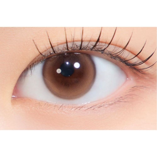  [1day] ハパクリスティン  ウォニョン デューイクリスティ ブラウン　 装用画像