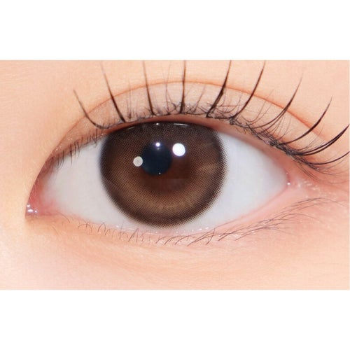  [1day] ハパクリスティン ウォニョン ワンアンドオンリークリスティン ブラウン装用画像