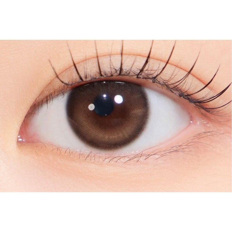  [1day] ハパクリスティン ウォニョン ワンアンドオンリークリスティン ブラウン装用画像