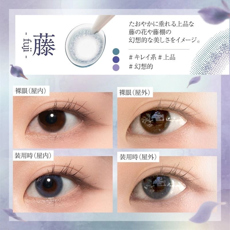 ニンナ ninna トラモント オリカラ 1day] ビショーネンガ 藤 | カラコン通販（送料無料） LILY ANNA