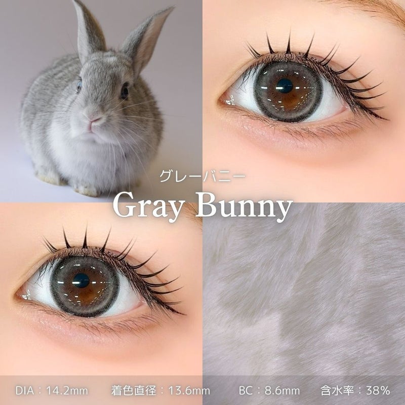 モラク(MOLAK) カラコン - 宮脇咲モラク(M良　[1month] モラク グレーバニー　装用画像